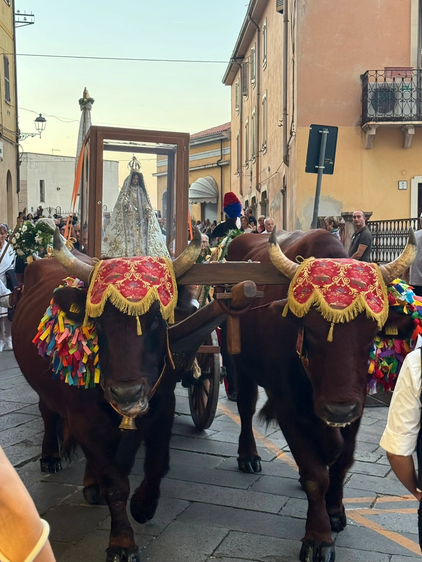 Fotografia della festa 1